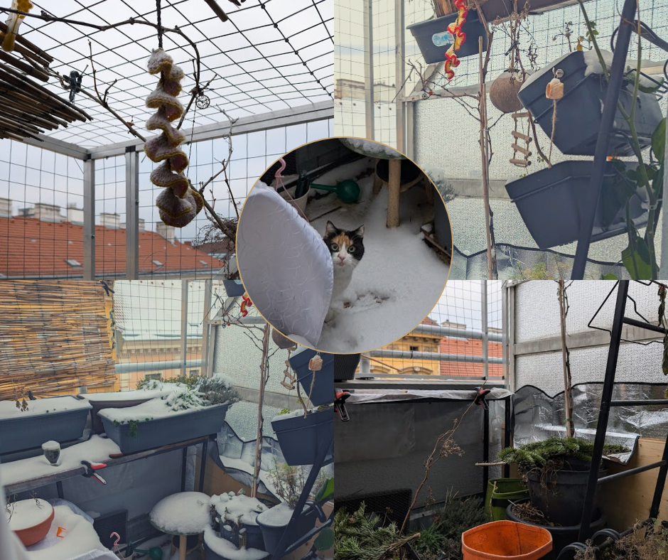 „Ich war nicht draußen“