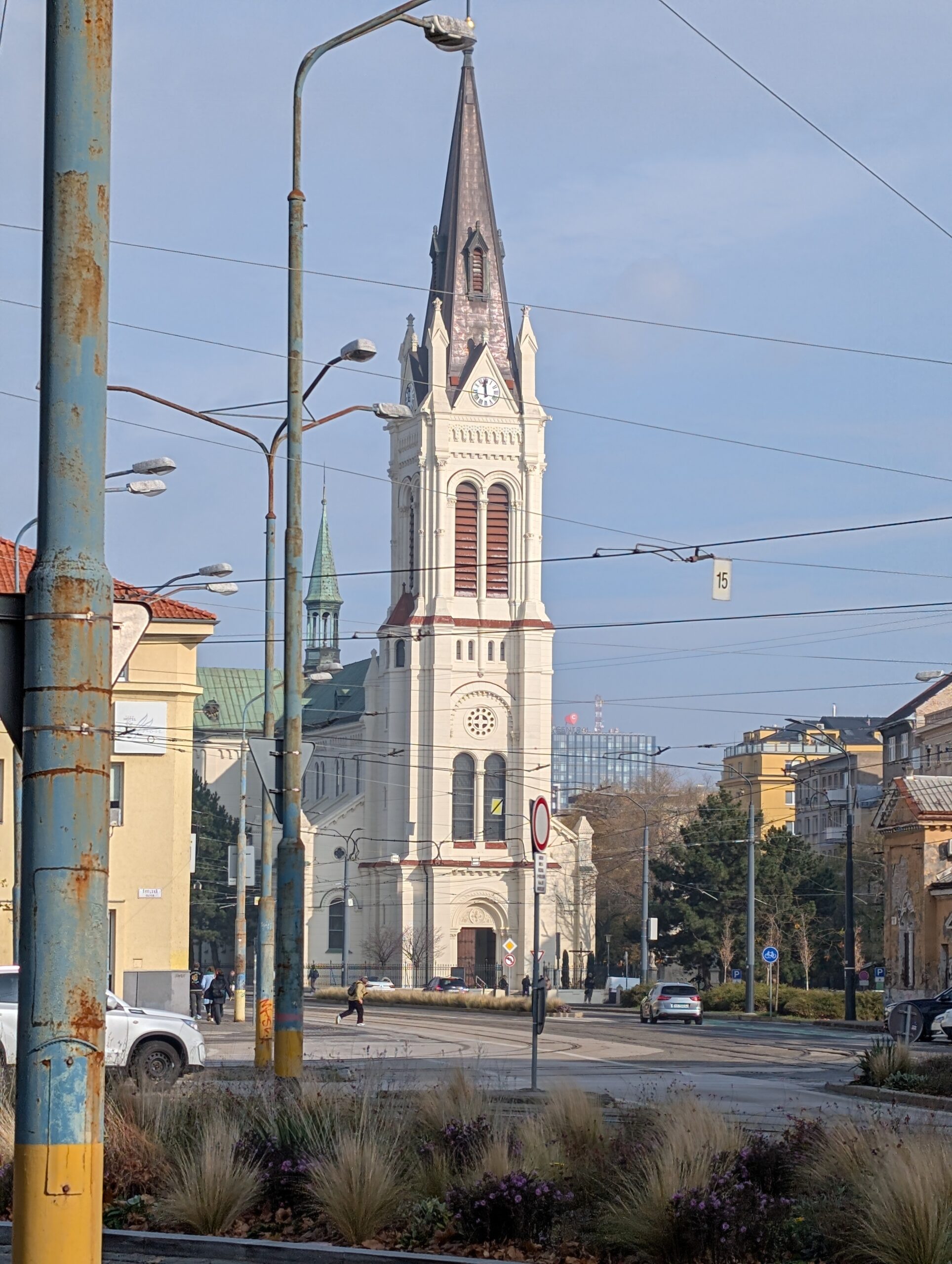 PXL_20251111_105959994