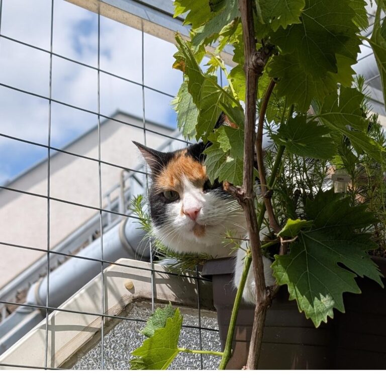 Wie groß muss das eigene Paradies sein? Wieviel Ernte muss ein Stück Acker bringen? Wie lange muss ein Moment der Freude dauern? Lies mit!